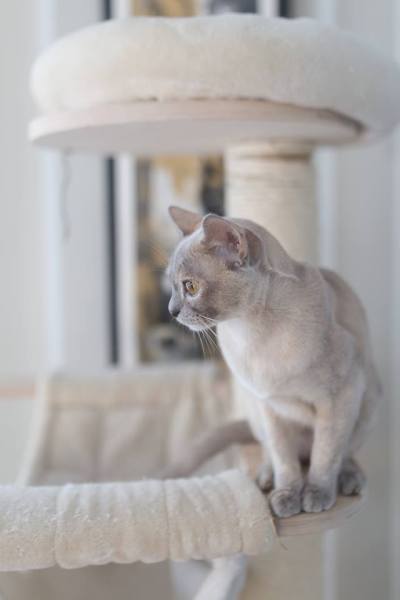 28829918_10156120298388397_696136999_n